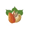Leo Dryfruits & Spices Trading Ltd.